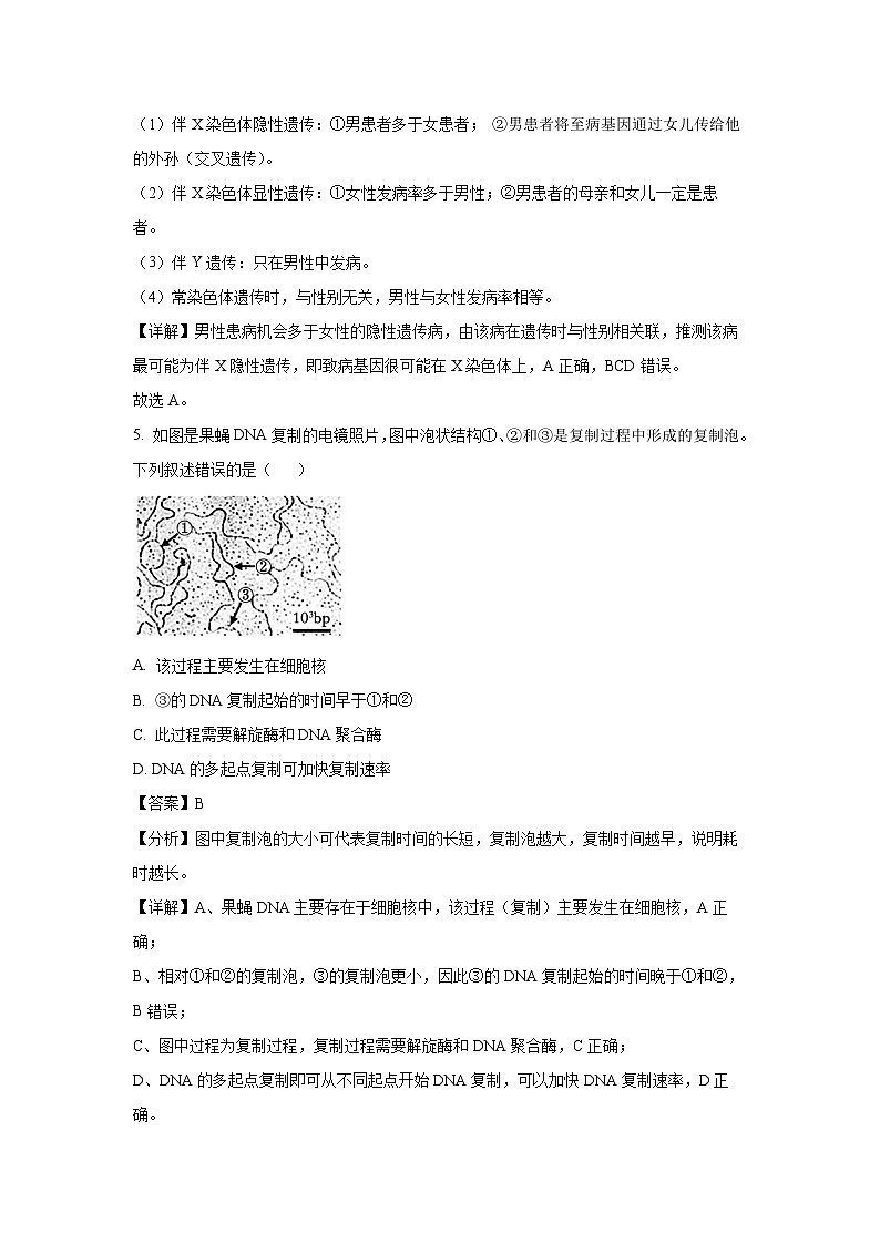 [生物][期末]山西省晋中部分学校2023-2024学年高一下学期期末诊断考试(解析版)03