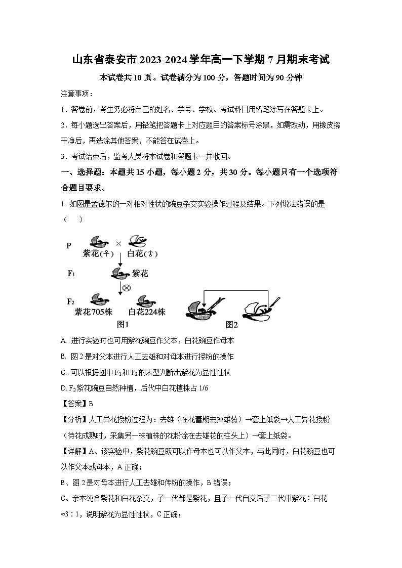 [生物][期末]山东省泰安市2023-2024学年高一下学期7月期末考试(解析版)01