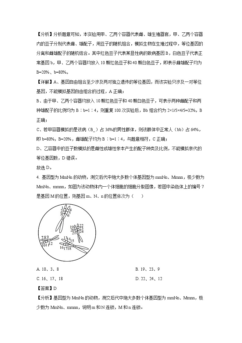 [生物][期末]山东省泰安市2023-2024学年高一下学期7月期末考试(解析版)03