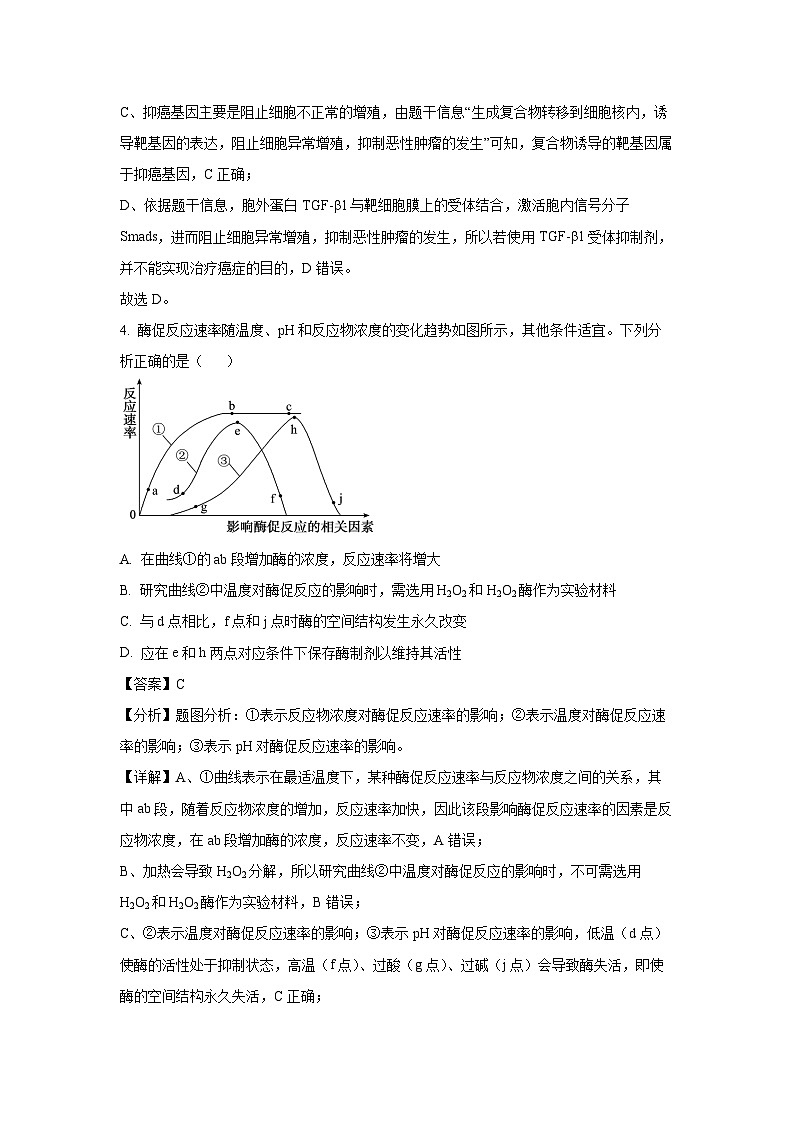 [生物][期末]山东省日照市2023-2024学年高一下学期期末考试(解析版)第3页
