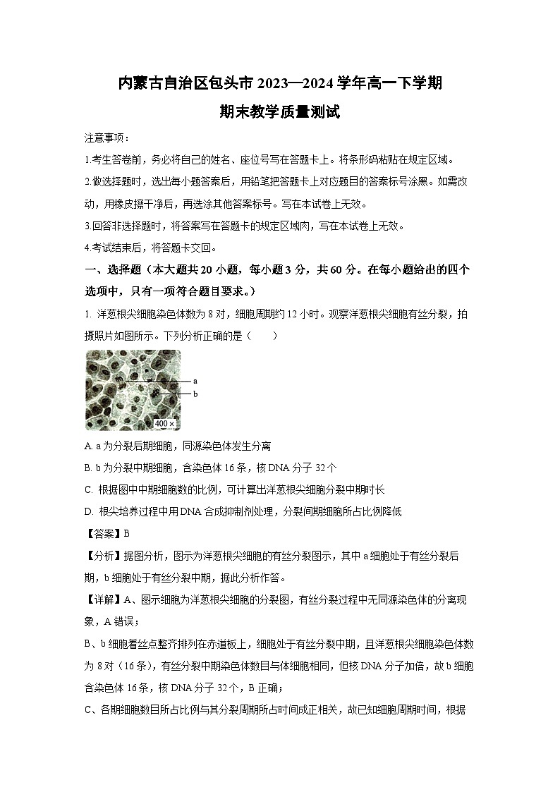 [生物][期末]内蒙古自治区包头市2023—2024学年高一下学期期末教学质量测试(解析版)01