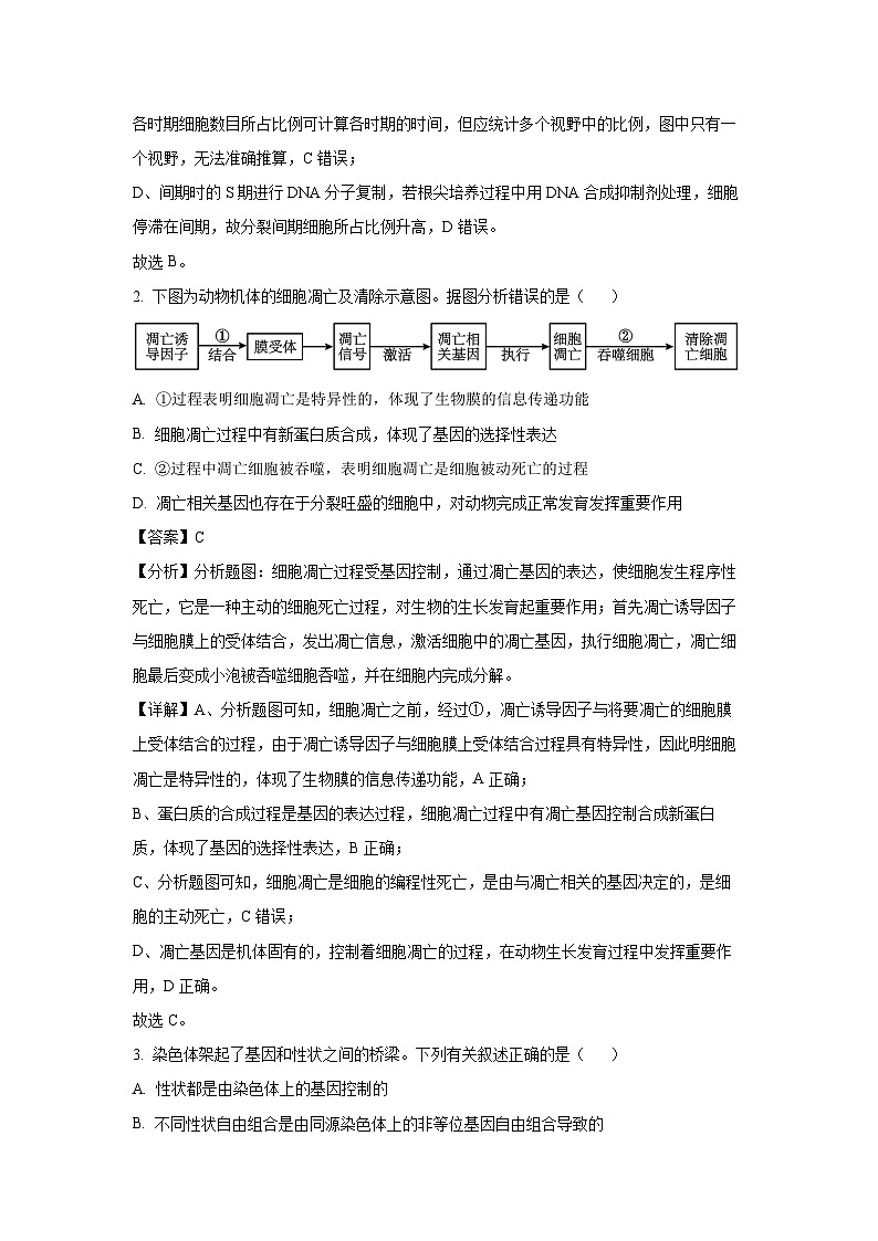 [生物][期末]内蒙古自治区包头市2023—2024学年高一下学期期末教学质量测试(解析版)02