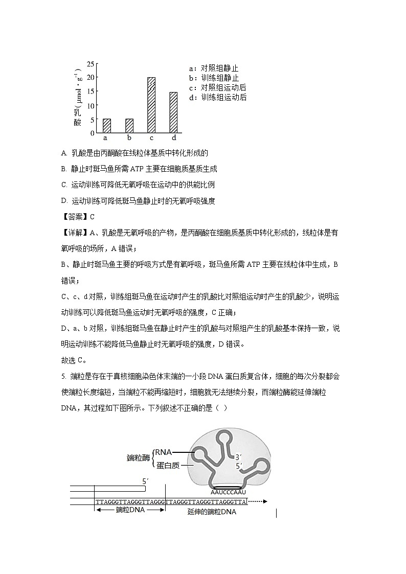 [生物][期末]北京市延庆区2023-2024学年高二下学期期末考试试题(解析版)第3页