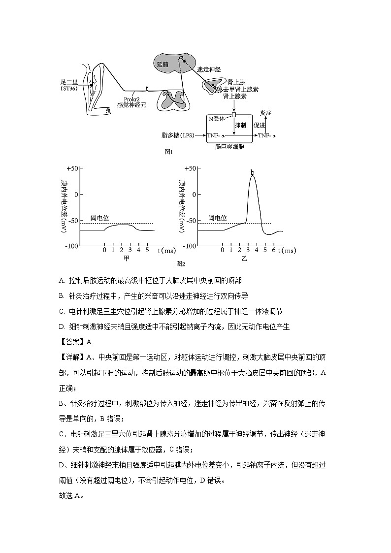 [生物][期末]安徽省皖中名校联盟2023—2024学年高二下学期期末考试试题(解析版)02