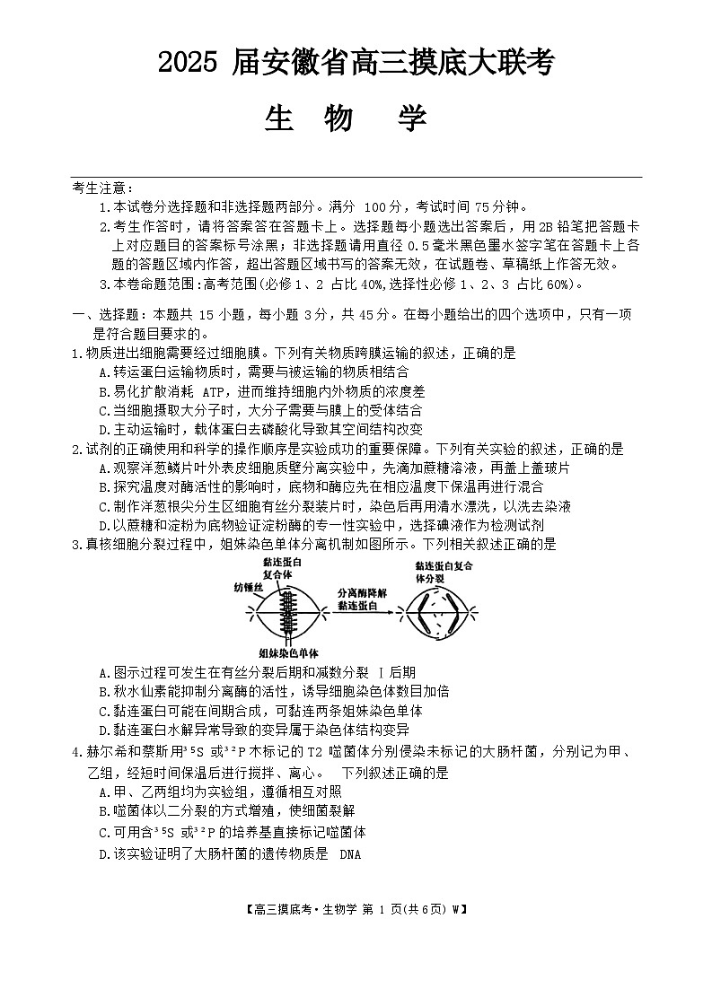 安徽省亳州市2024-2025学年高三上学期开学考试生物试卷（Word版附答案）01
