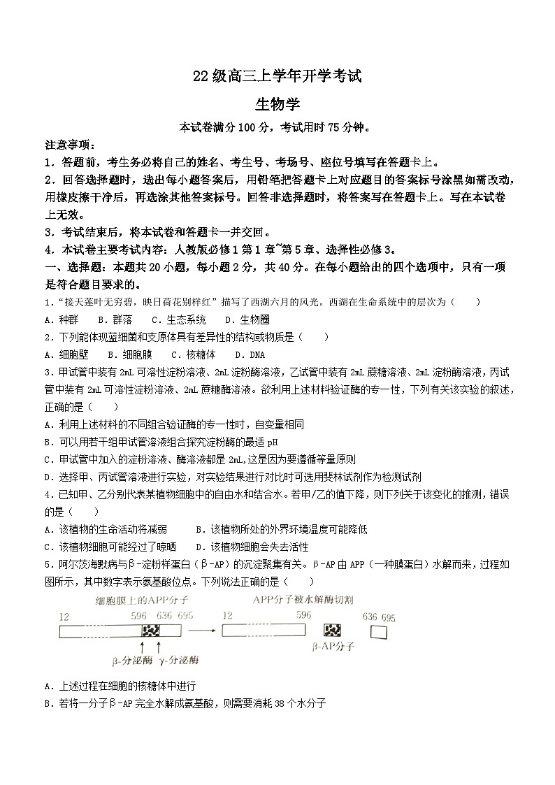 黑龙江省龙东十校2024-2025学年高三上学期开学考试生物试卷（Word版附答案）01