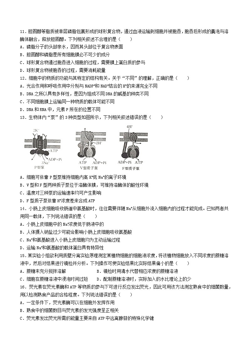 黑龙江省龙东十校2024-2025学年高三上学期开学考试生物试卷（Word版附答案）03