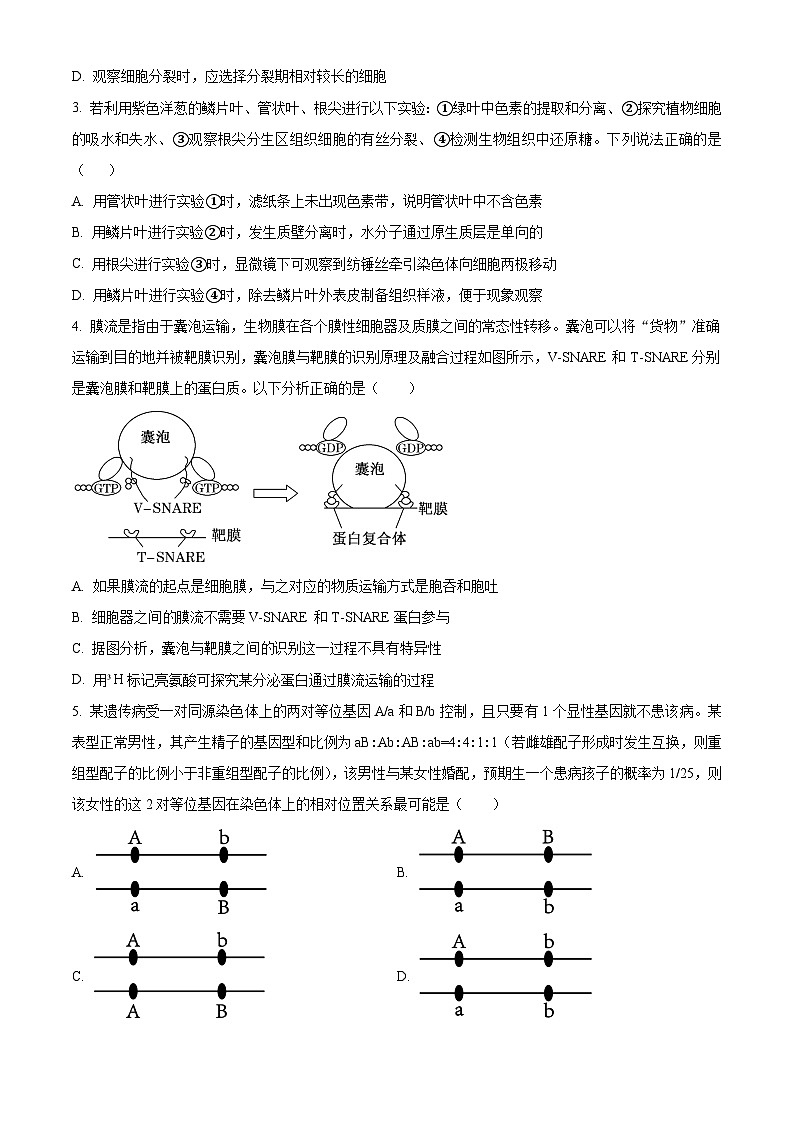 浙江省杭州第二中学2024-2025学年高三上学期第一次月考生物试卷  Word版无答案第2页