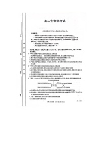 内蒙古赤峰元宝山区第一中学、新红旗中学联考2024-2025学年高二上学期开学考试生物试题