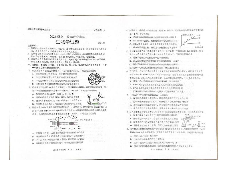 山东省日照市2024-2025学年高二上学期开学考试生物试题01