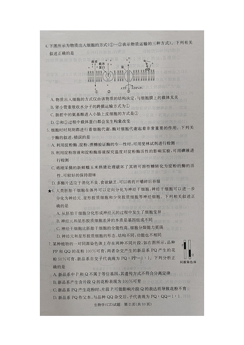 湖南省郴州市2024-2025学年高二上学期开学考试生物试题02