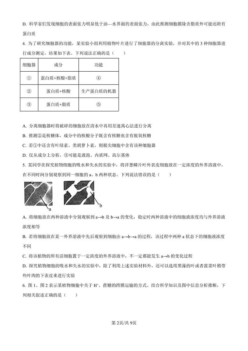 生物丨四川省成都市蓉城名校联考2025届高三8月开学考试生物 试卷及答案02