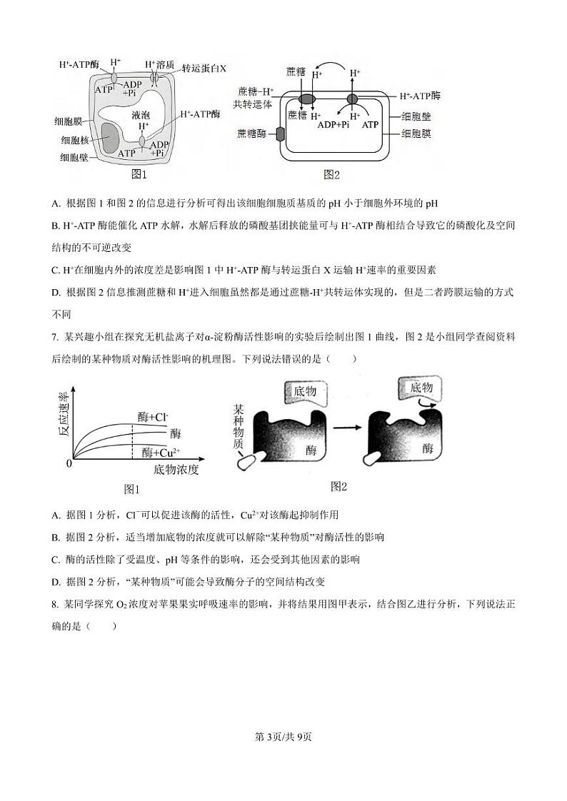 生物丨四川省成都市蓉城名校联考2025届高三8月开学考试生物 试卷及答案03