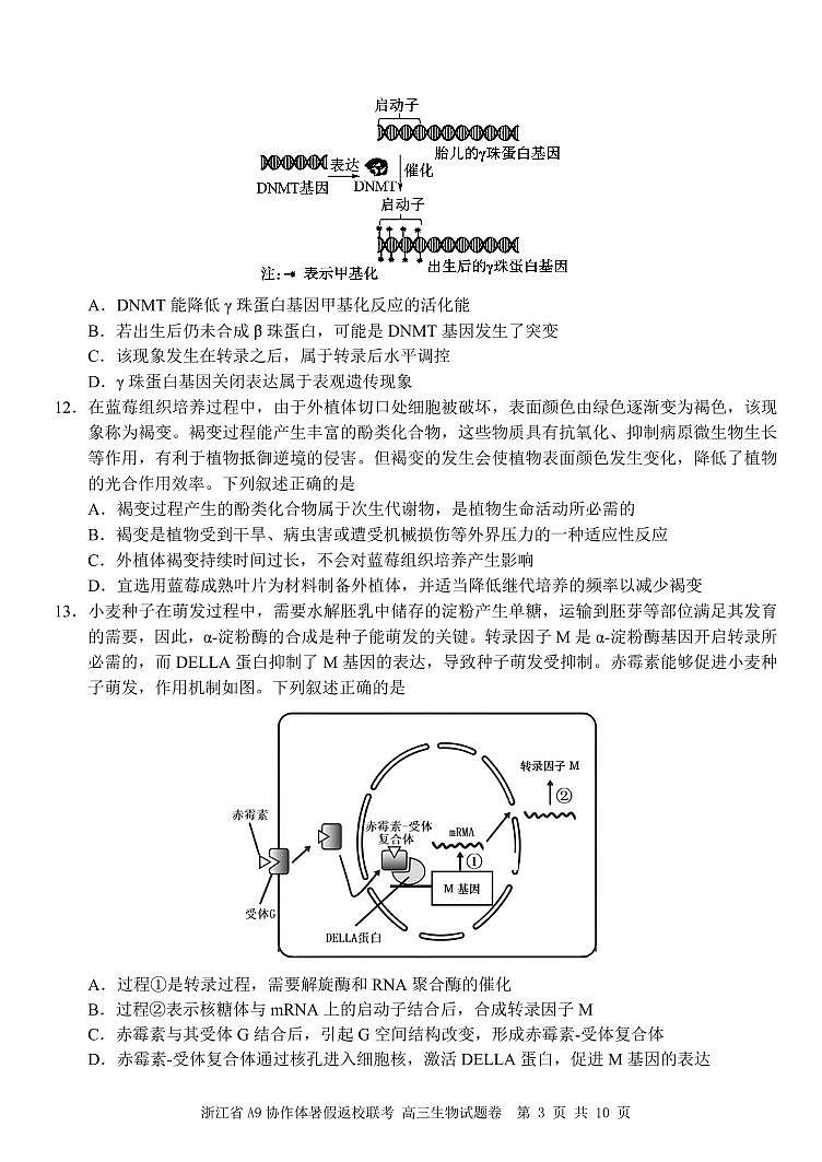 浙江省A9协作体2025届2024年8月高三年级上学期八月返校联考生物试卷03