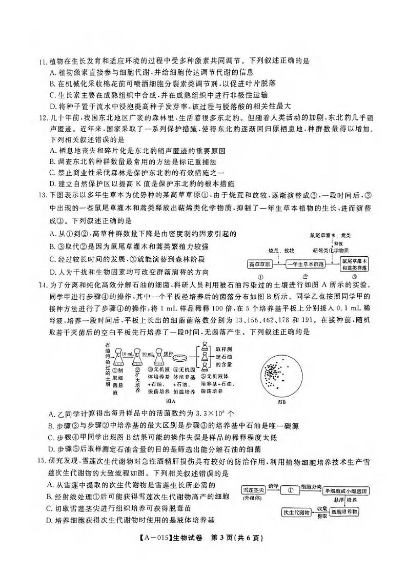 生物丨安徽省金榜&皖江名校联盟2025届高三9月开学联考（A025）生物试卷及答案03
