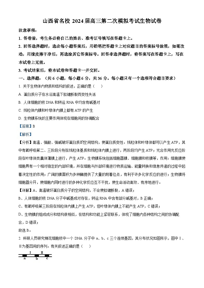 山西省名校2024届高三第二次模拟考试生物试卷（解析版）01
