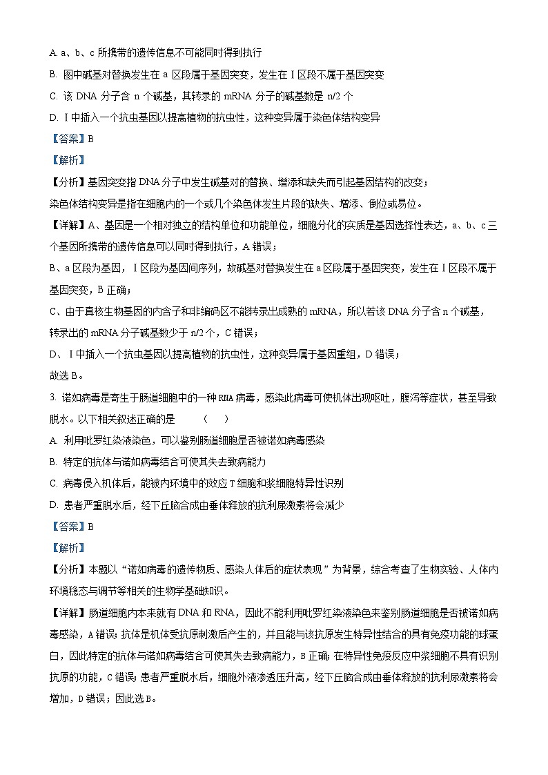 山西省名校2024届高三第二次模拟考试生物试卷（解析版）02