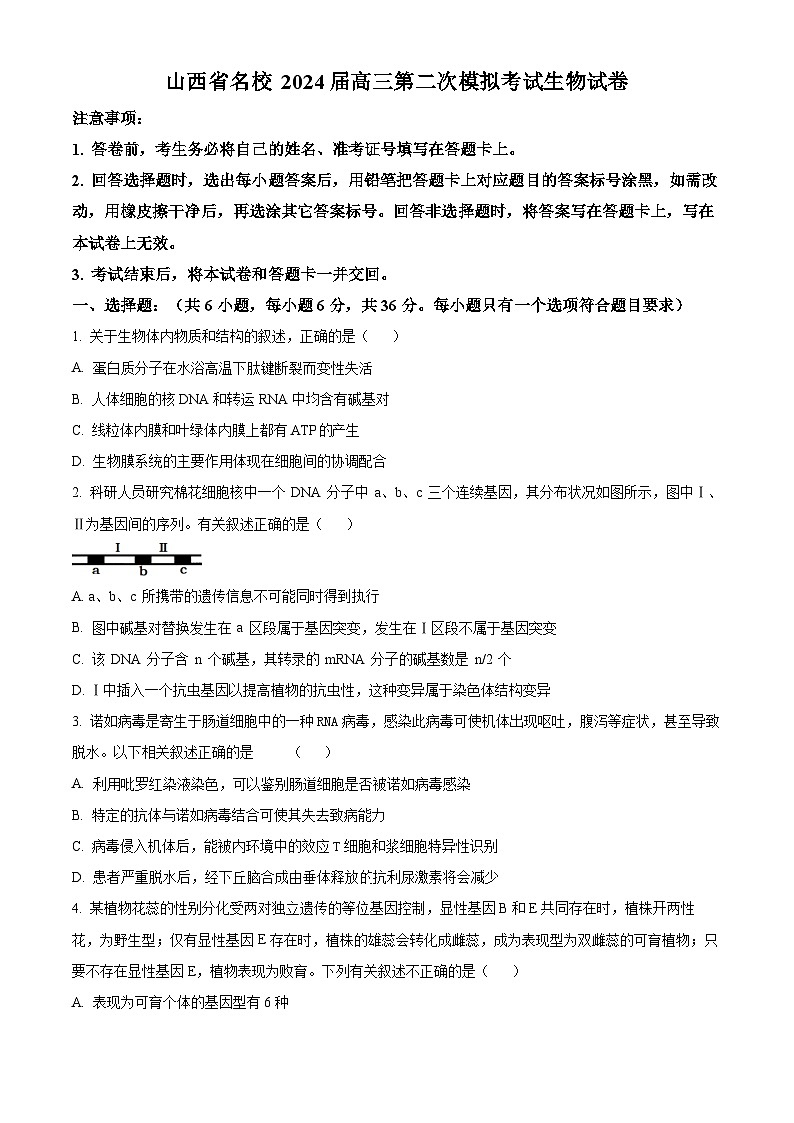 山西省名校2024届高三第二次模拟考试生物试卷（原卷版）01
