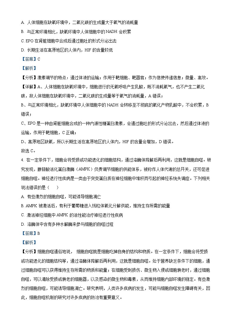 山东省滕州市第一中学2024—2025学年高三上学期开学考试生物试题（解析版）第3页