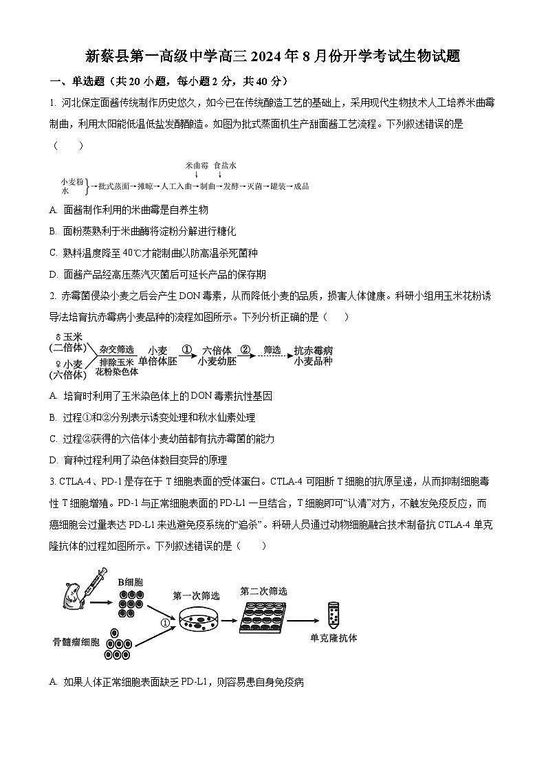 河南省新蔡县第一高级中学2024—2025学年高三上学期开学考试生物试题（原卷版）第1页