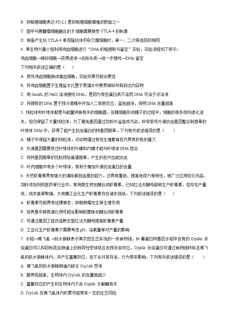 河南省新蔡县第一高级中学2024—2025学年高三上学期开学考试生物试题（原卷版）第2页