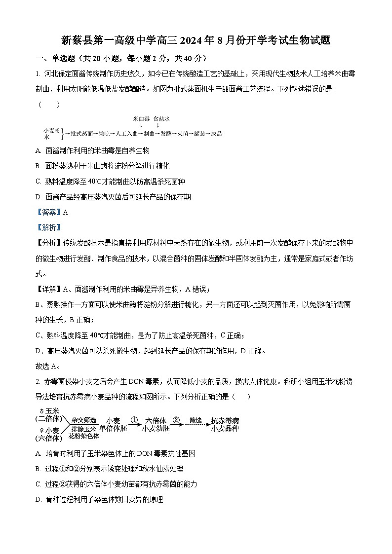 河南省新蔡县第一高级中学2024—2025学年高三上学期开学考试生物试题（解析版）第1页