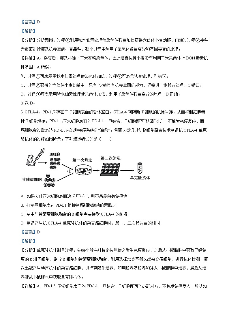 河南省新蔡县第一高级中学2024—2025学年高三上学期开学考试生物试题（解析版）第2页