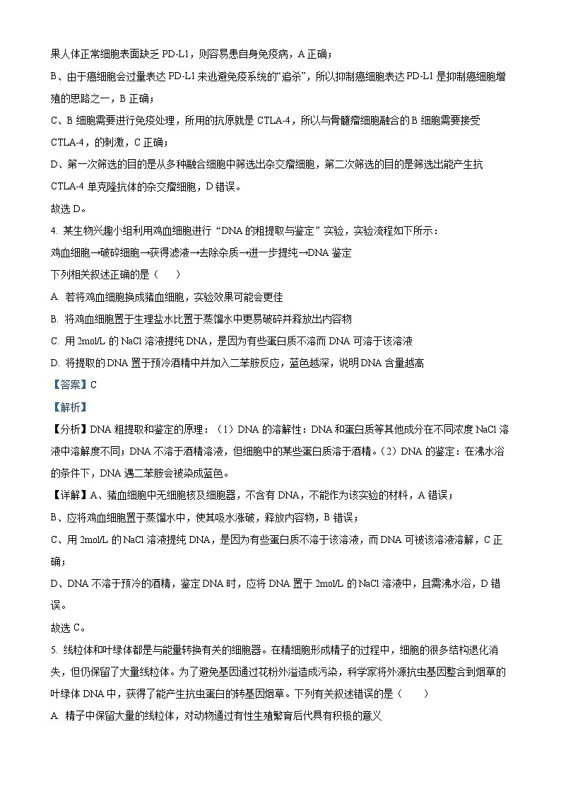 河南省新蔡县第一高级中学2024—2025学年高三上学期开学考试生物试题（解析版）第3页