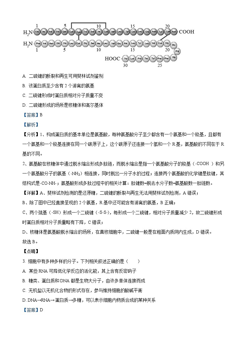 海南省文昌中学2024-2025学年高三上学期第一次月考生物试题（解析版）第2页