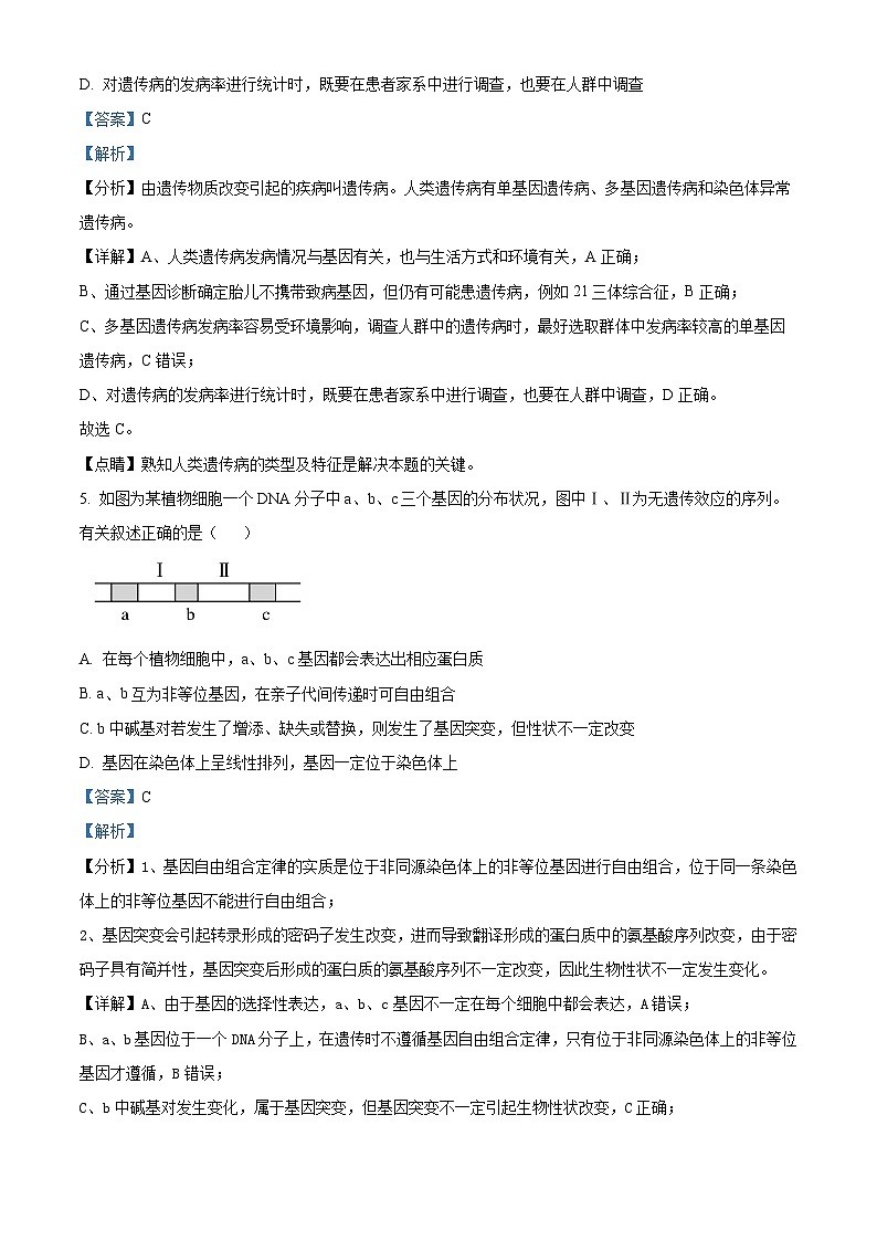 河北省衡水市故城县郑口中学2024-2025学年高二上学期开学考试生物试题（解析版）03
