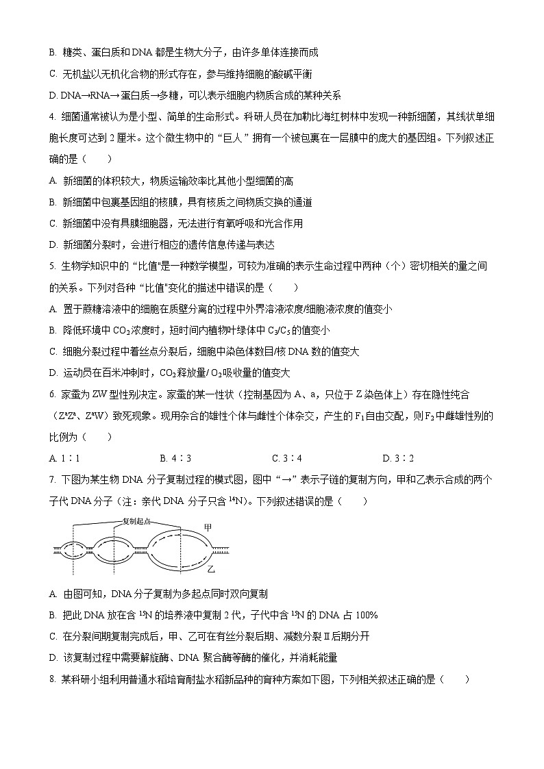 海南省文昌中学2024-2025学年高三上学期第一次月考生物试题（原卷版）第2页
