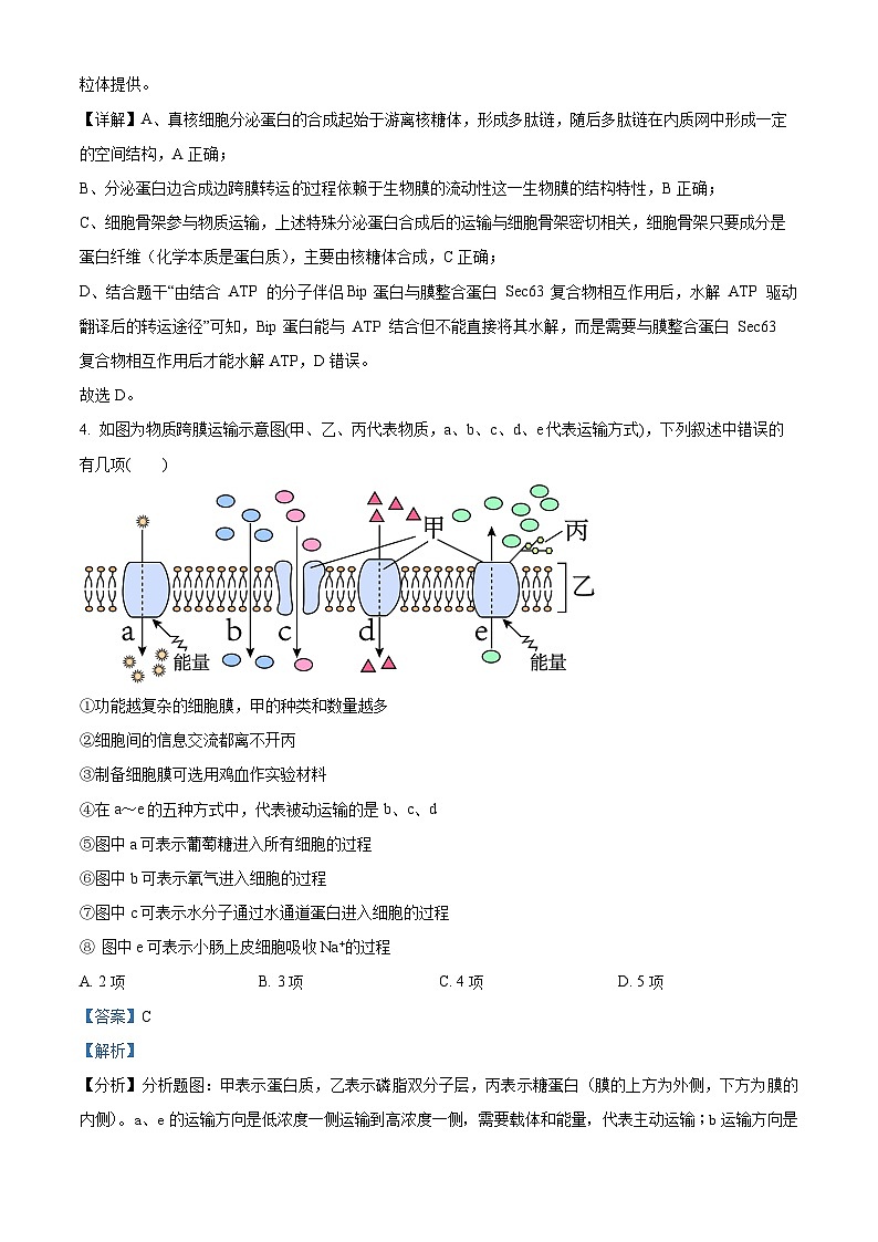安徽省阜阳市临泉县第一中学2024-2025学年高二上学期开学考试生物试题（解析版）第3页