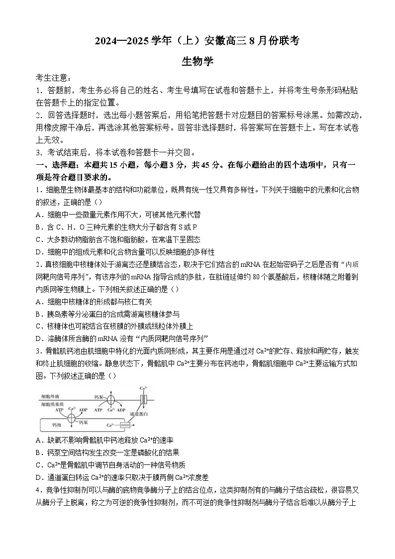 安徽省部分学校2024-2025学年高三8月大联考生物试题01