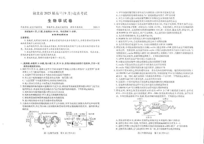 生物学试卷第1页