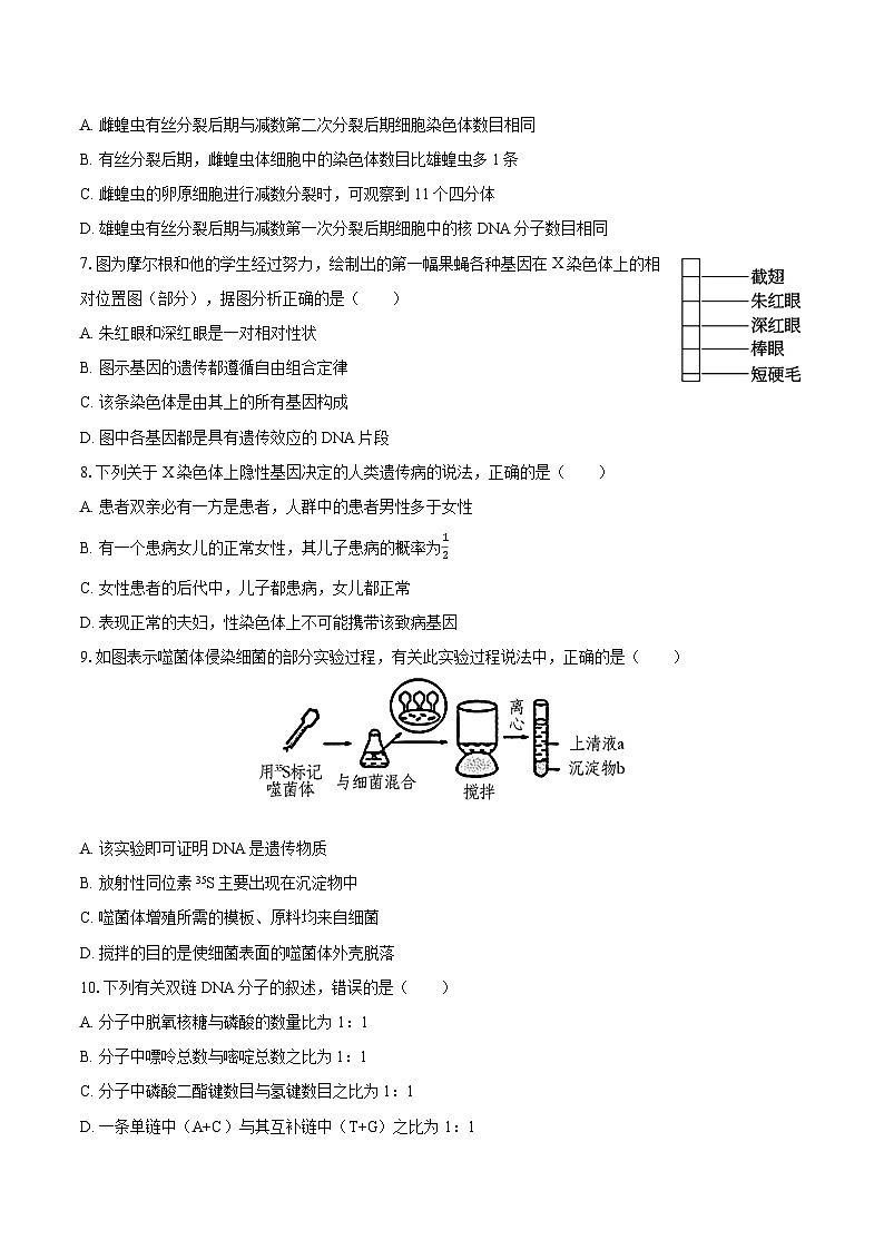 2023-2024学年甘肃省庆阳市华池一中高一（下）期末生物学试卷（含解析）02