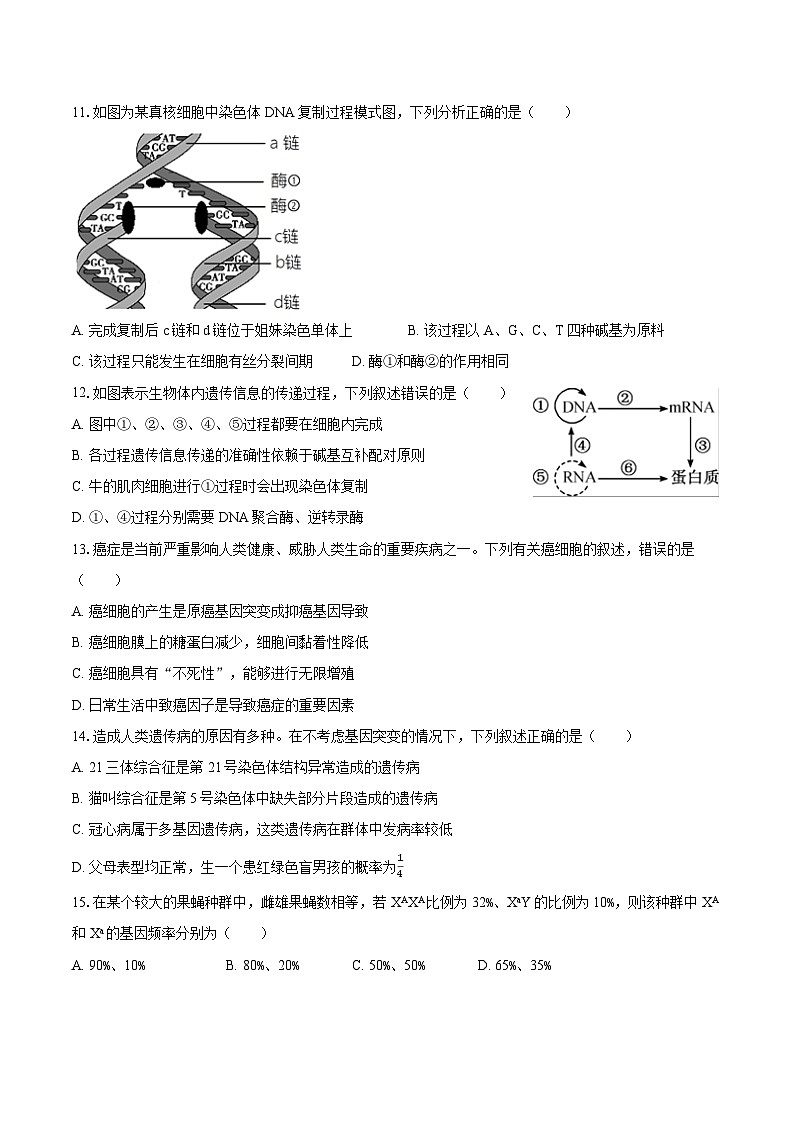 2023-2024学年甘肃省庆阳市华池一中高一（下）期末生物学试卷（含解析）03