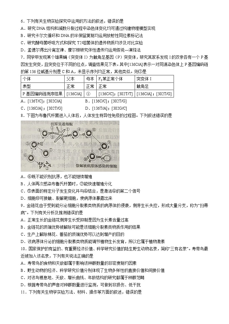 河北省邯郸市魏县2024-2025学年高三上学期开学生物试题02