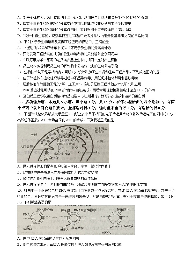 河北省邯郸市魏县2024-2025学年高三上学期开学生物试题03