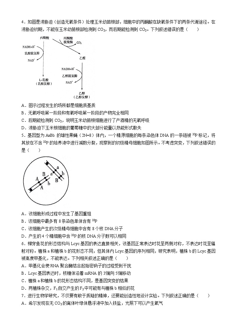 陕西省安康市高新中学2024-2025学年高三上学期开学联考生物试题第2页