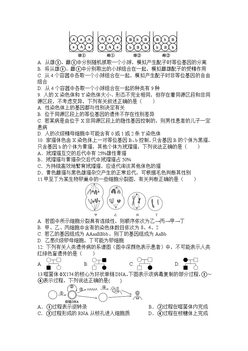四川省眉山中学2022-2023学年高一下学期期中考试生物试题02
