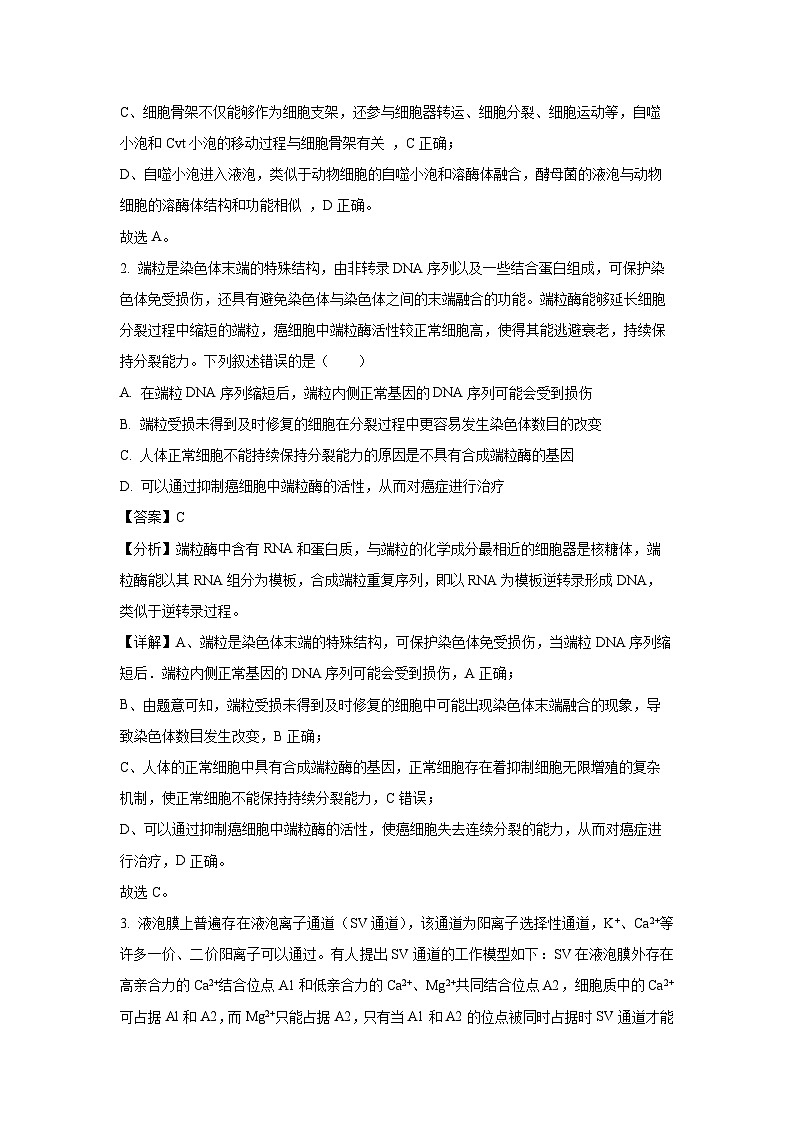 [生物]2024届山东省泰安肥城市高考仿真模拟(三)(解析版)第2页