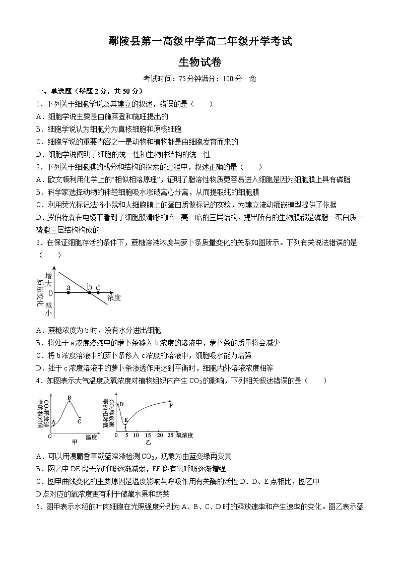 河南省许昌市鄢陵县第一高级中学2024-2025学年高二上学期开学考试生物试题(无答案)01