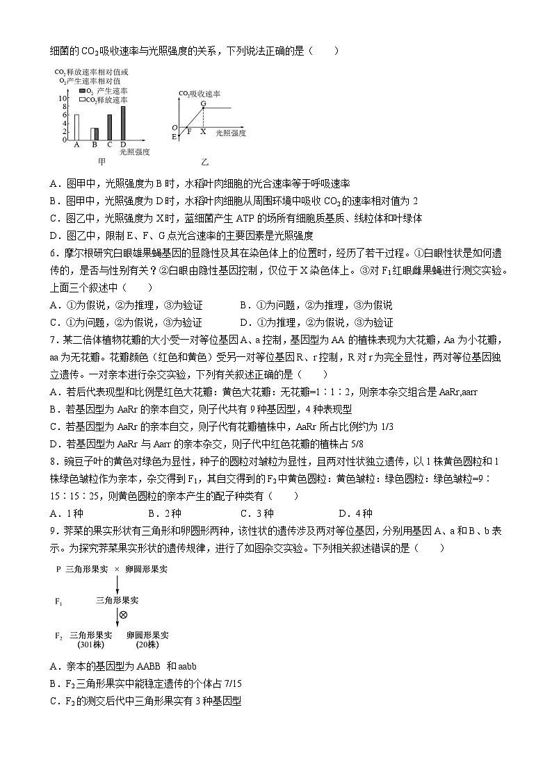 河南省许昌市鄢陵县第一高级中学2024-2025学年高二上学期开学考试生物试题(无答案)02