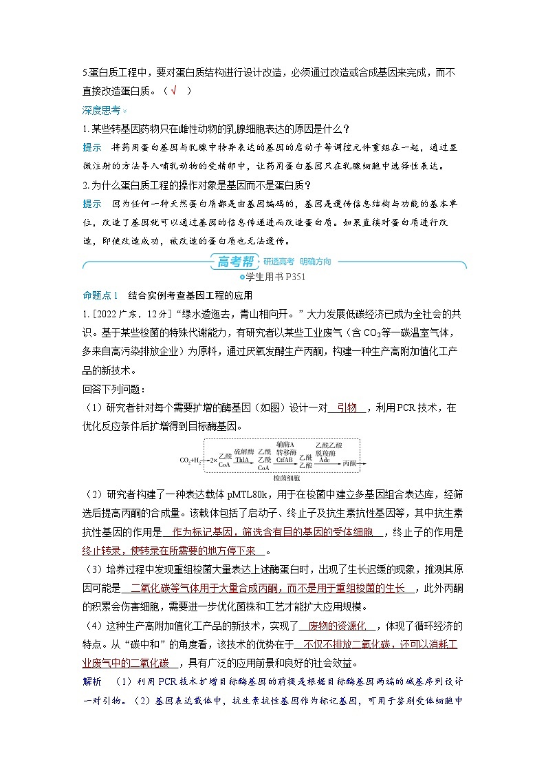 2025年高考生物精品教案第十一章生物技术与工程课时7基因工程的应用与蛋白质工程03