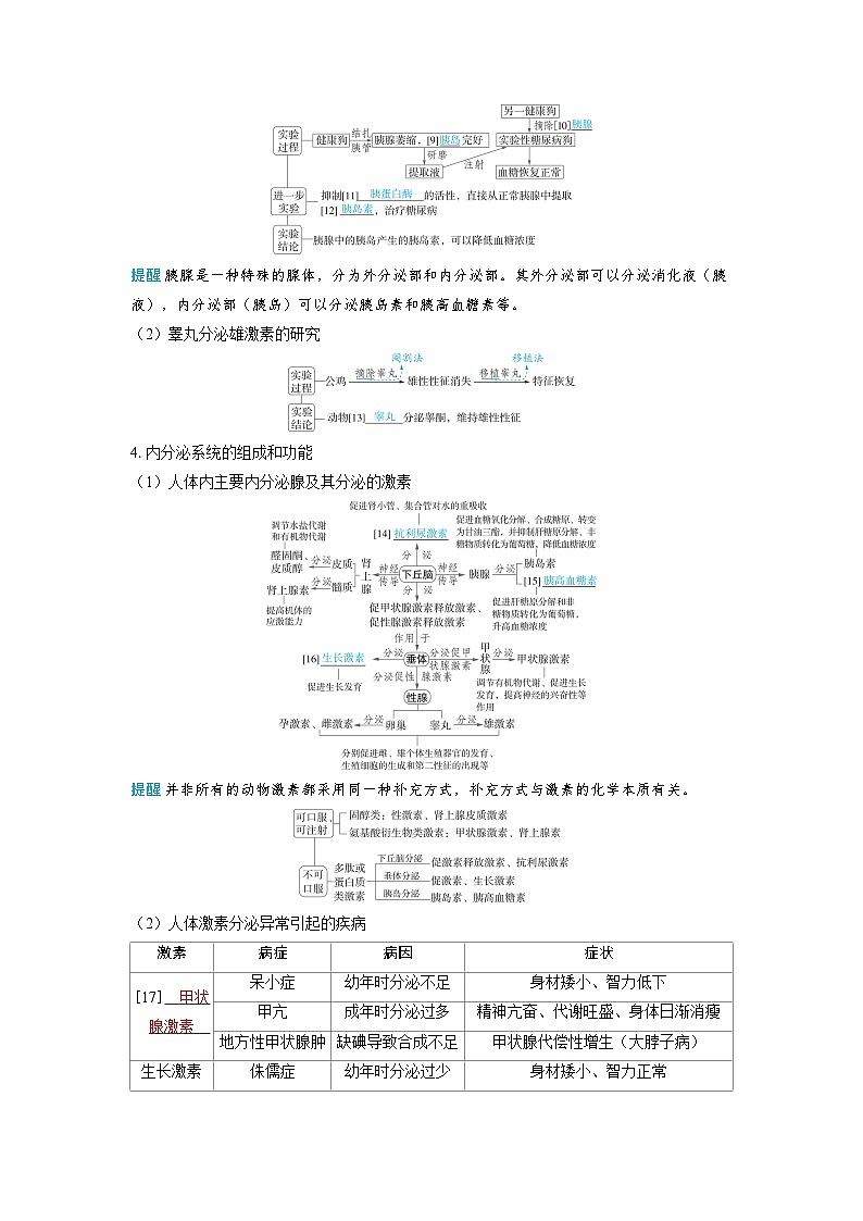 2025年高考生物精品教案第八章动物和人体生命活动的调节课时4体液调节的过程第3页