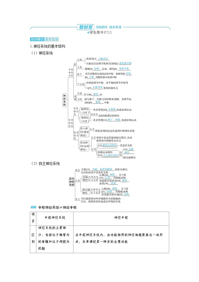 2025年高考生物精品教案第八章动物和人体生命活动的调节课时2神经调节的结构基础和基本方式第2页