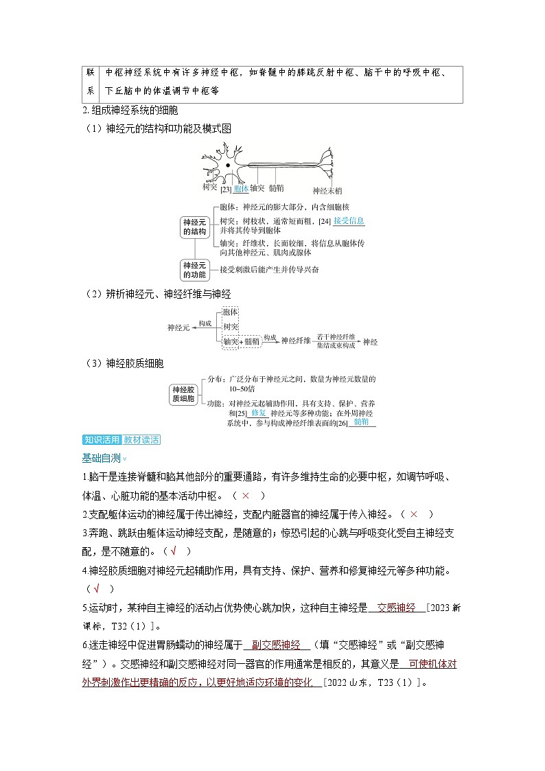 2025年高考生物精品教案第八章动物和人体生命活动的调节课时2神经调节的结构基础和基本方式第3页