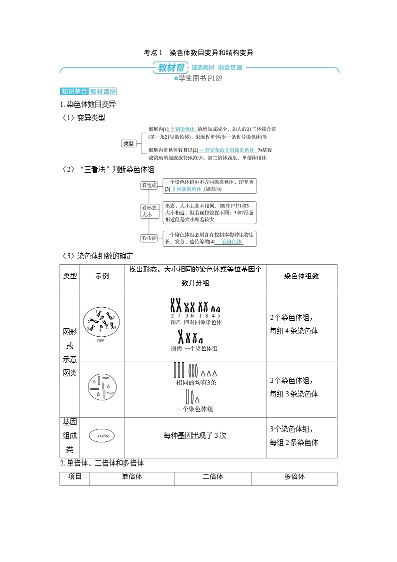 2025年高考生物精品教案第七章生物的变异和进化课时2染色体变异与生物育种第2页