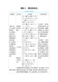 2025年高考生物精品教案第六章遗传的分子基础课时3基因的表达