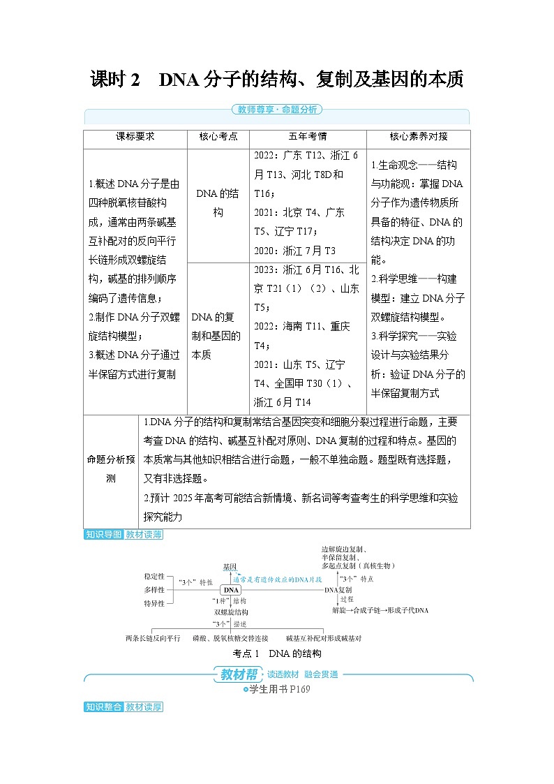 2025年高考生物精品教案第六章遗传的分子基础课时2DNA分子的结构、复制及基因的本质01